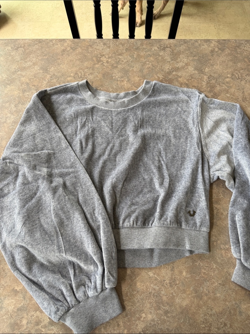 True Religion Gray Cropped Crewneck Sweatshirt